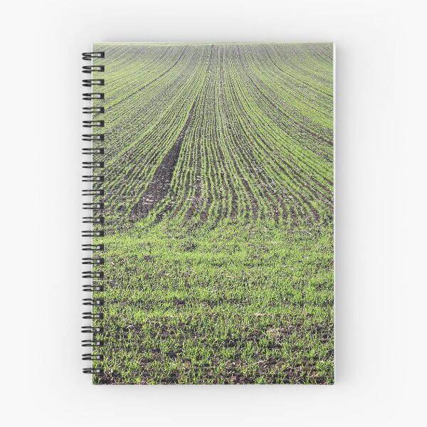 Item preview, young green wheat field spring season designed and sold by goceris.