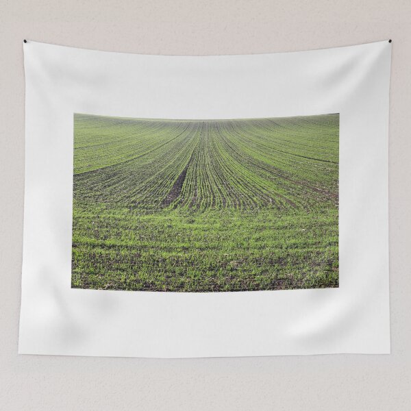 Item preview, young green wheat field spring season designed and sold by goceris.