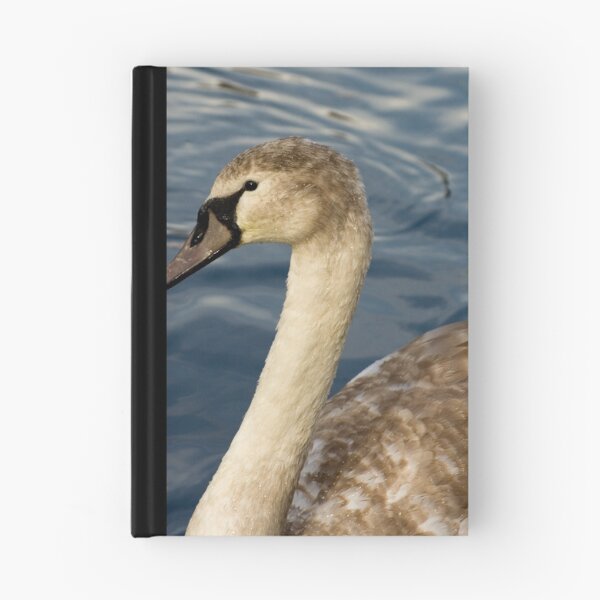 Item preview, Swan designed and sold by Stuart Jenkins.