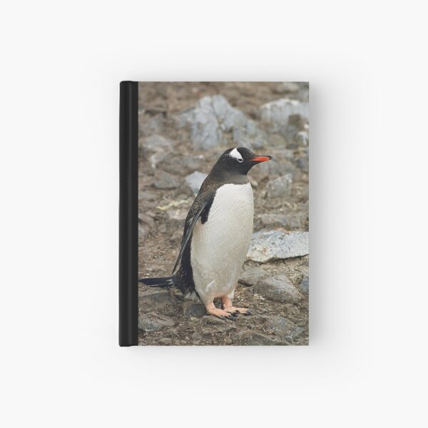 Item preview, Gentoo Penguin "Pygoscelis papua" #1 designed and sold by Rosie Appleton.