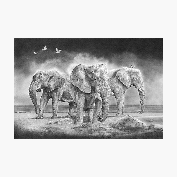 Impression Photo The Meeting Dessin Au Crayon Realiste D Elephant D Afrique Par Mightyfineart Redbubble