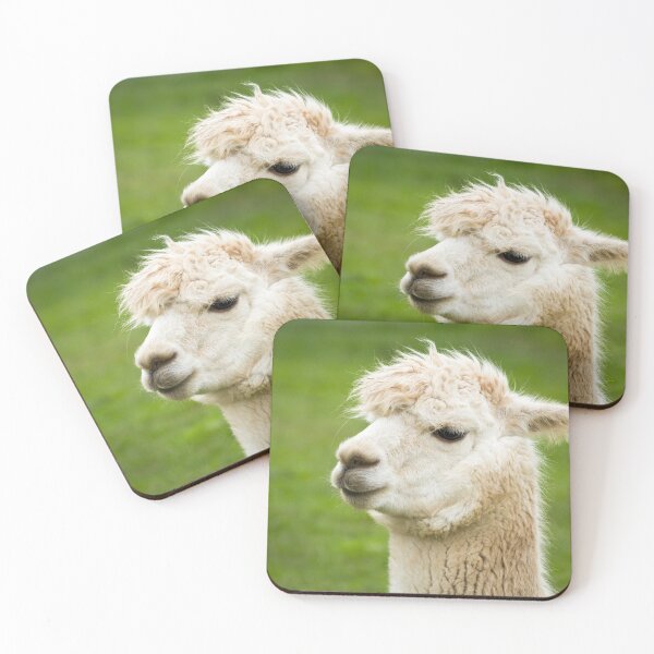 Item preview, Llama designed and sold by Jane Stanley Photography.