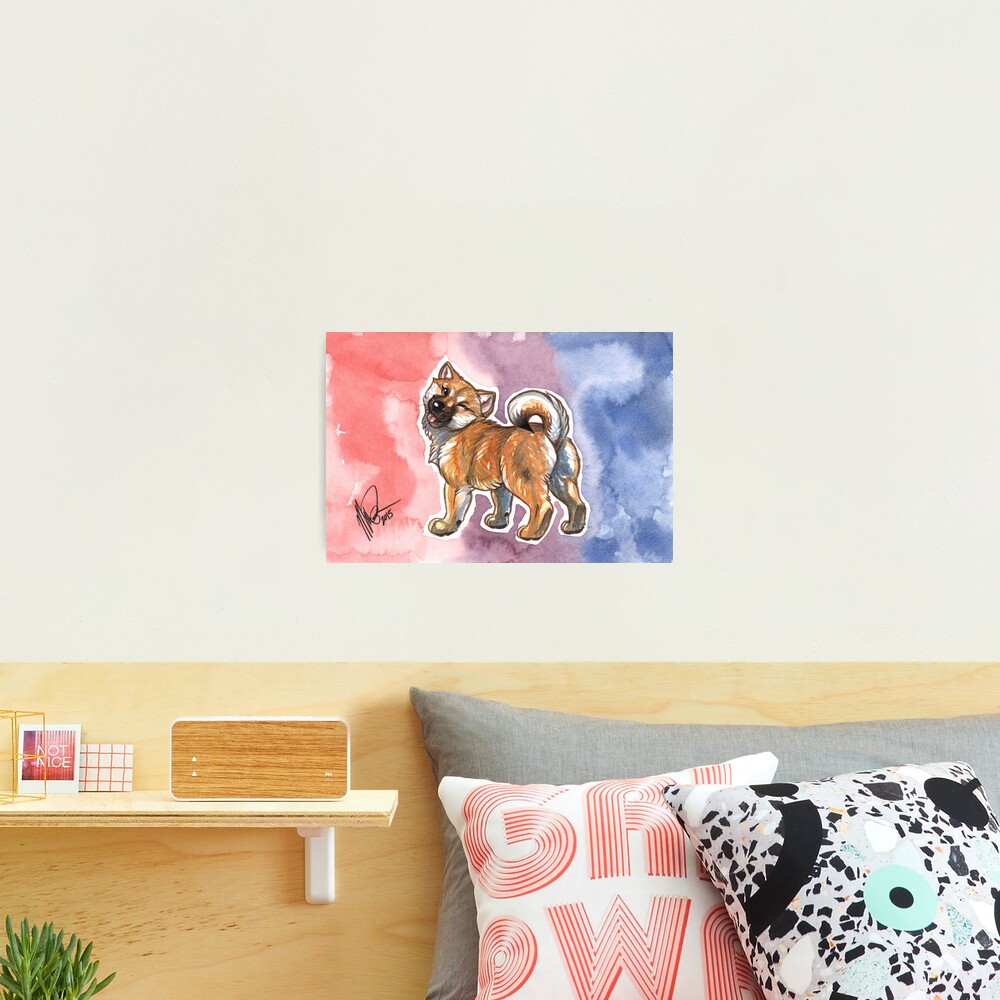 Shibutt! Photographic Print