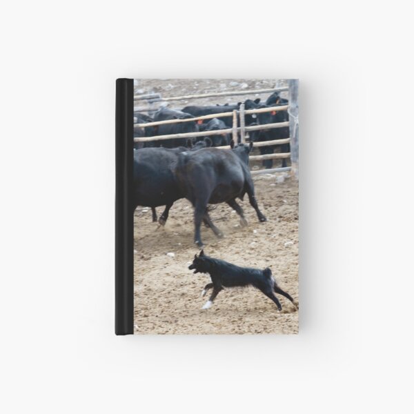'Git 'em, Girl! Hardcover Journal