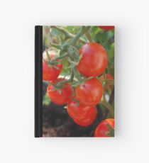 Baby Tomatoes Hardcover Journal
