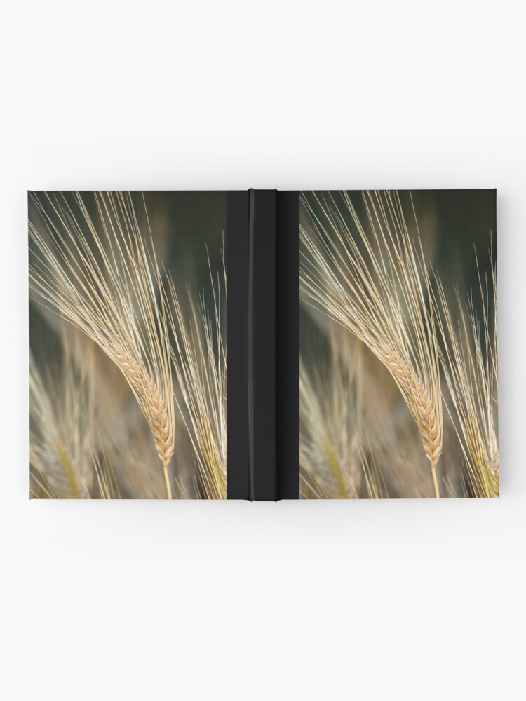 Hardcover Journal, Wheat Heads designed and sold by Jerry Walter