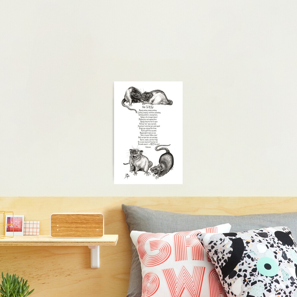 Ode To A Rat Photographic Print