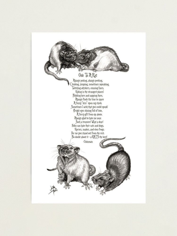 Alternate view of Ode To A Rat Photographic Print