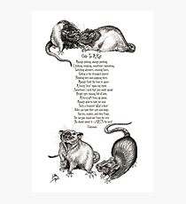 Ode To A Rat Photographic Print