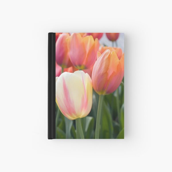 Shades of pink Hardcover Journal