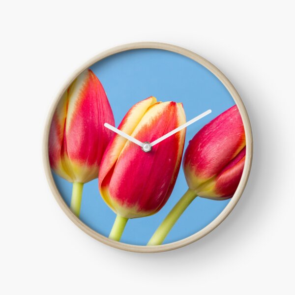 Three Tulips Clock