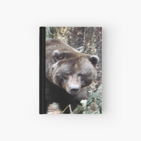 Ursus Major Hardcover Journal
