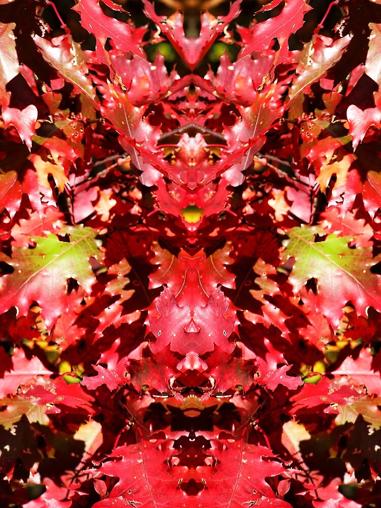 Autumn Oak Leaves by wselander