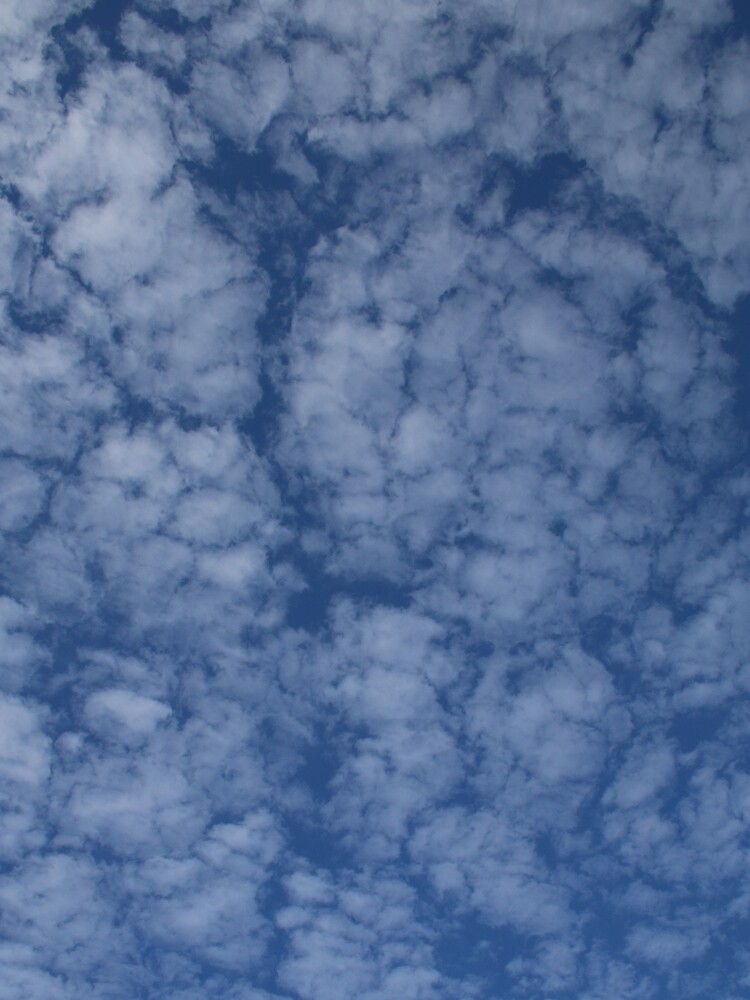 Altocumulus Abstract 2 by wselander