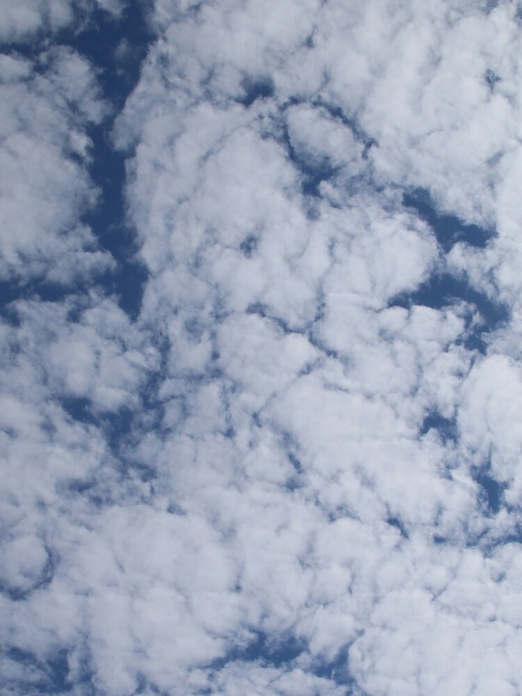 Altocumulus Abstract 1 by wselander