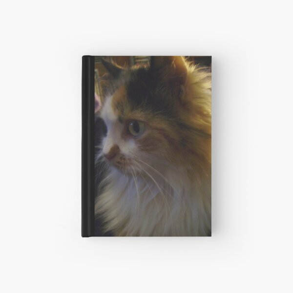 A-Wahoo "Crazy Lady" Whitefeather Hardcover Journal