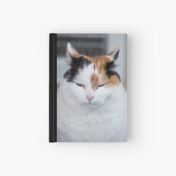 I'm Not Grumpy Hardcover Journal