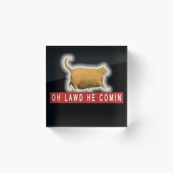 Chonk Cat Meme Acrylic Block