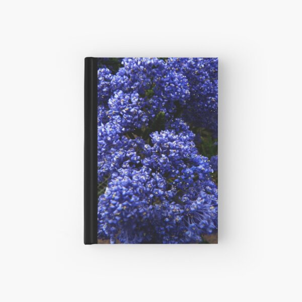 Ceanothus ‘Blue Pacific’ Hardcover Journal