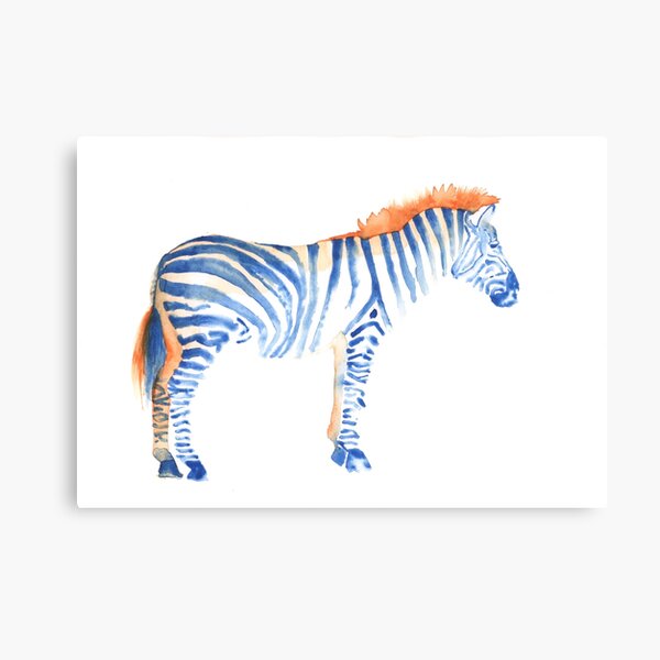 Zebra Canvas Print