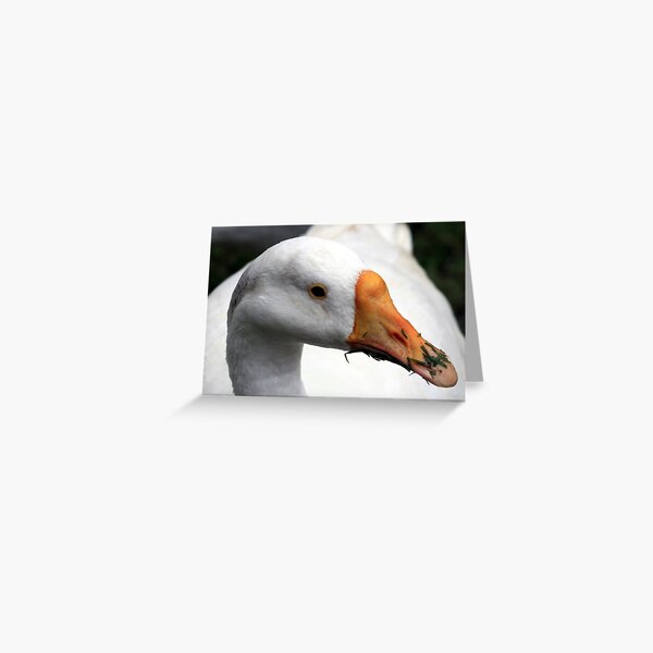 Quak... Quak! Greeting Card