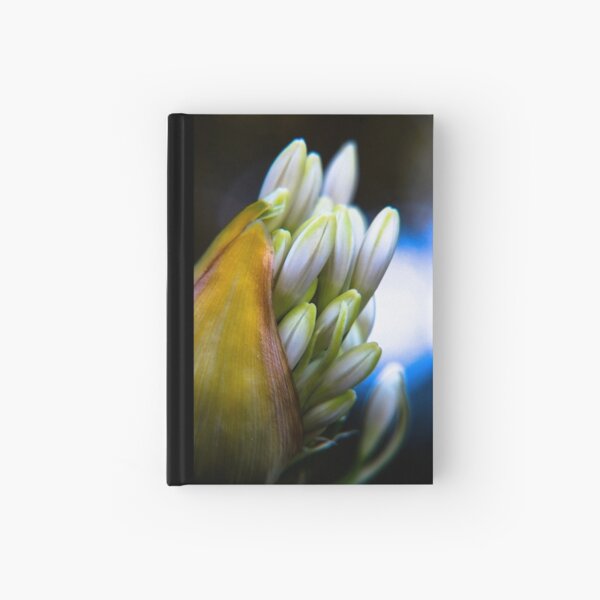 Agapanthus breaking free Hardcover Journal