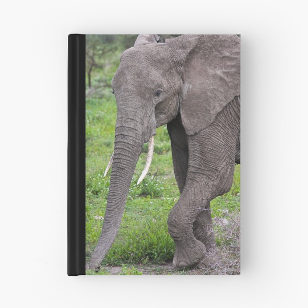 Item preview, Hardcover Journal designed and sold by nstanev.