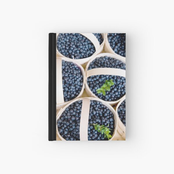 Blaubeeren Notizbuch