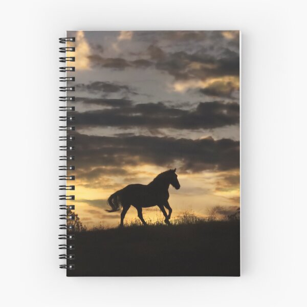 Item preview, Out of the Storm, Running Horse and Clouds designed and sold by Stephanie Laird.