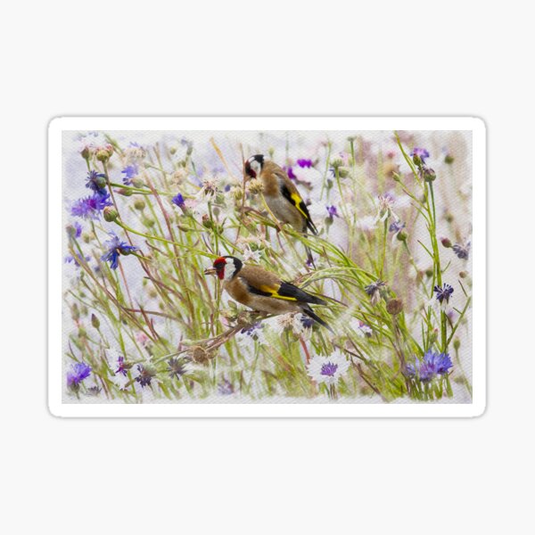 Goldfinches Feeding Sticker