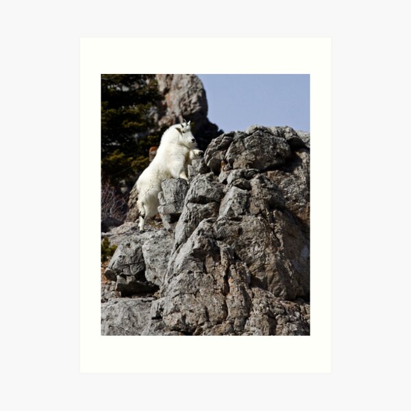 Making It Look Easy Art Print