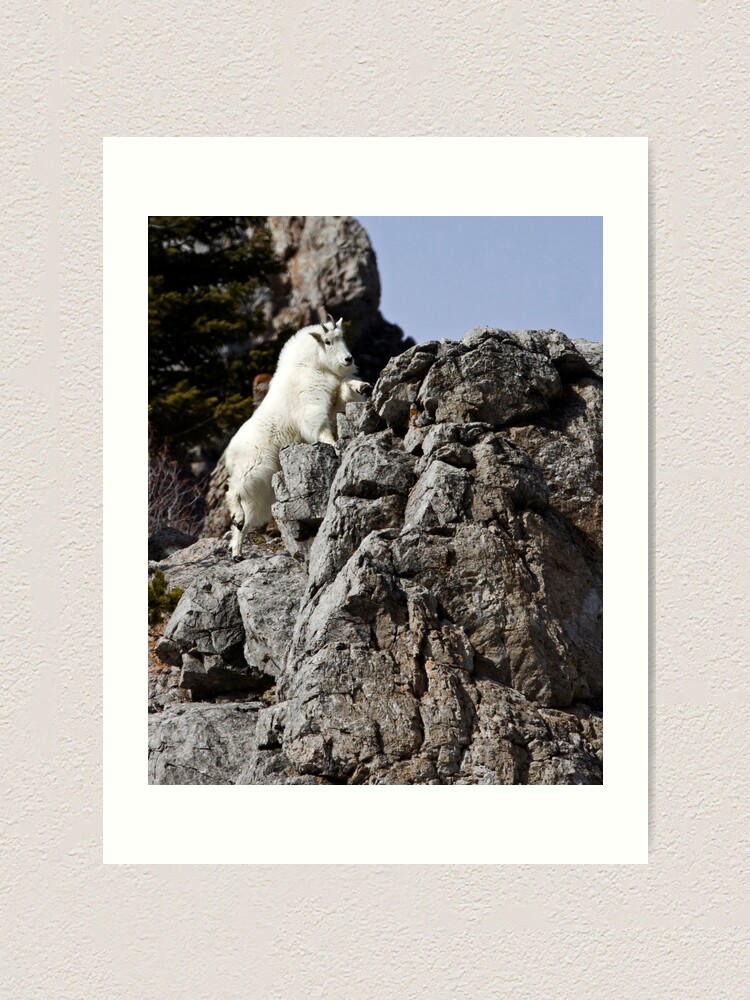 Alternate view of Making It Look Easy Art Print