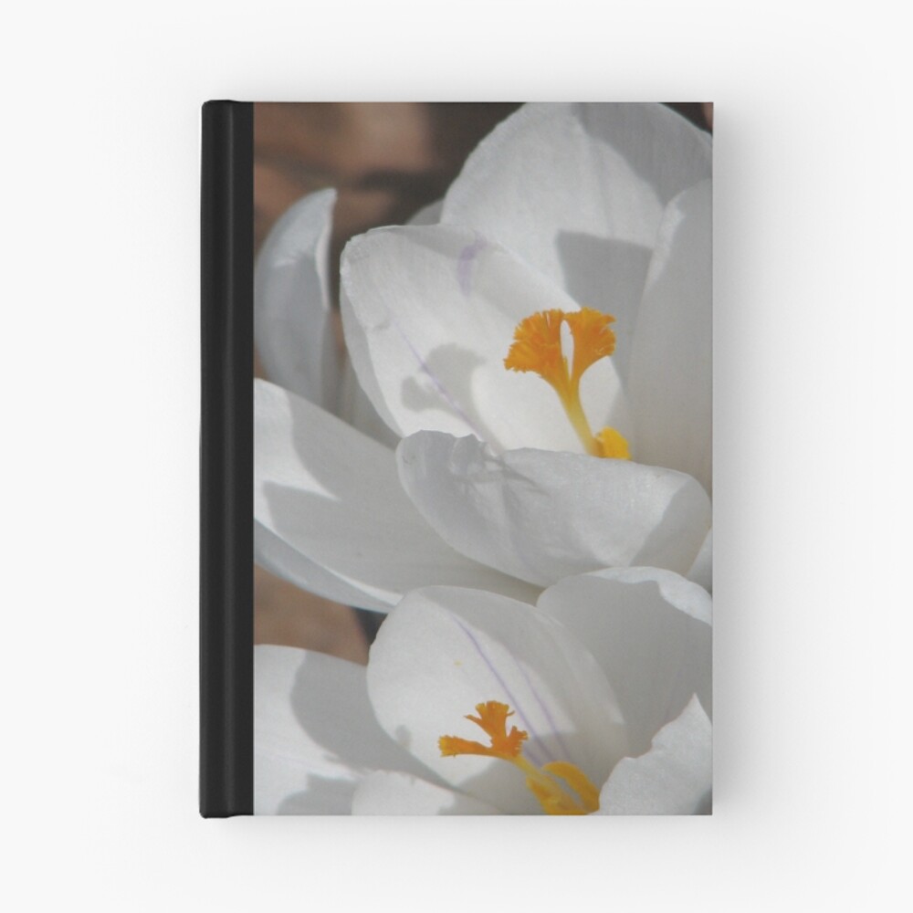 Item preview, Hardcover Journal designed and sold by ccwri.