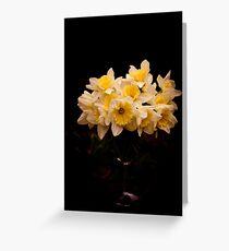 Daffodils Greeting Card