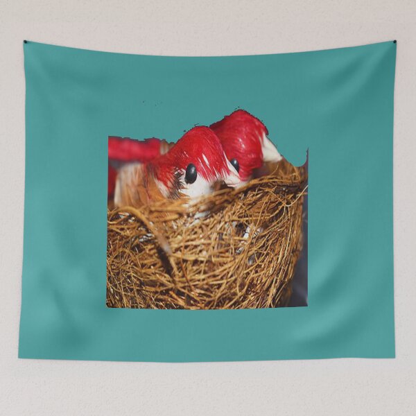 Item preview, CHICKS designed and sold by solgel47.