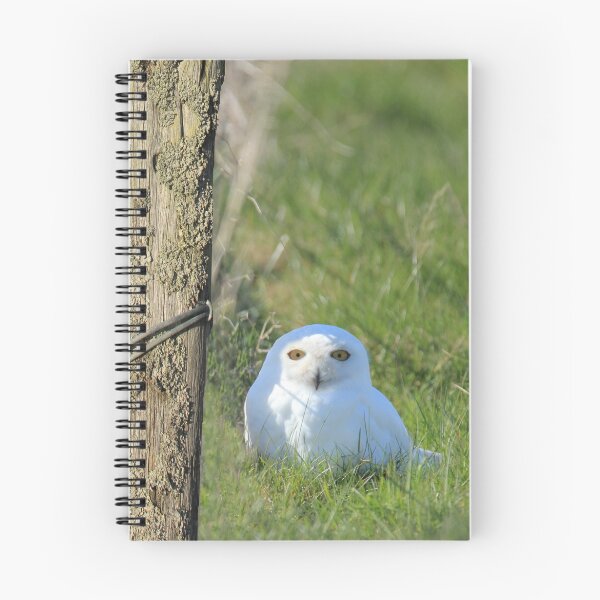 Item preview, Snowy Owl designed and sold by sandysshoots.