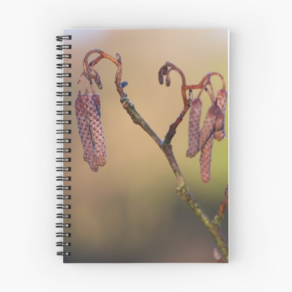 Item preview, Spring willow designed and sold by CallyM.