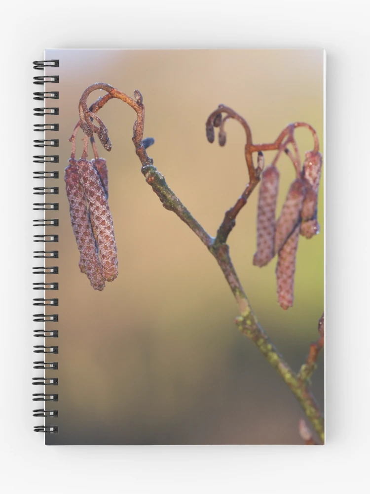 Thumbnail 1 of 3, Journal, Spring willow designed and sold by CallyM.