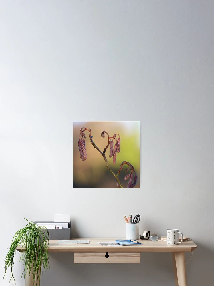 Thumbnail 2 of 3, Poster, Spring willow designed and sold by CallyM.