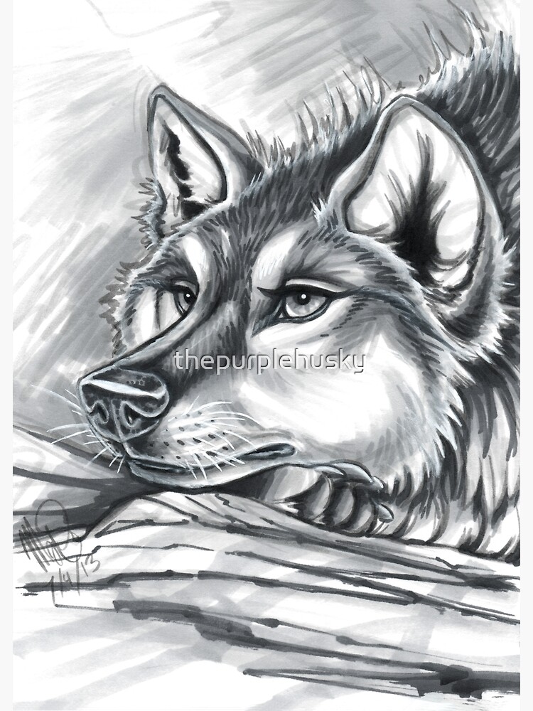 Wolf Grey by thepurplehusky