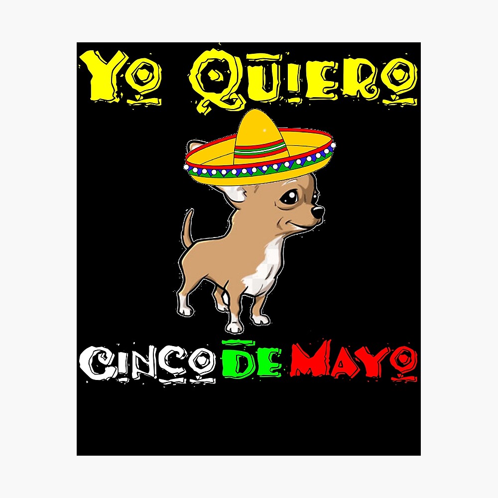 Funny Cinco De Mayo - Cinco De Mayo Shirt - Chihuahua Shirt - Yo Quiero Cinco  De Mayo