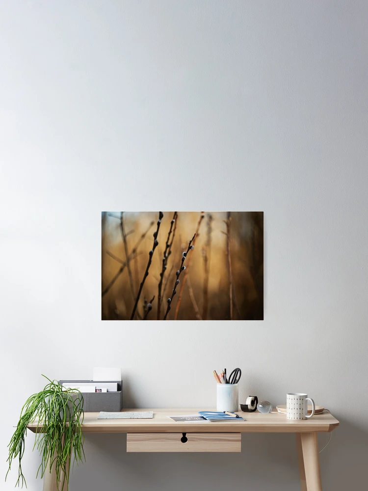 Thumbnail 2 of 3, Poster, Spring designed and sold by Cadence McCarrel.