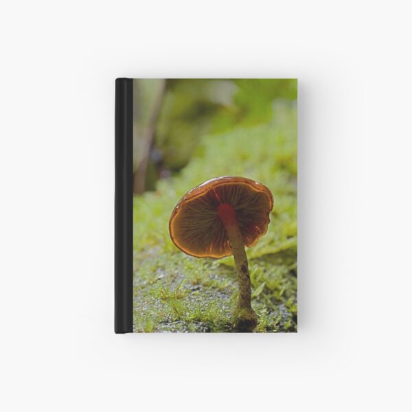 Forest Glowth Hardcover Journal