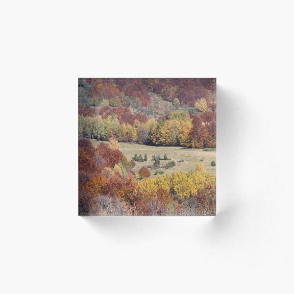 Bieszczady Mountains . Poloniae Alpe Besczade. Бещади . October 2018. ©Dr.Andrzej Goszcz Photography. No.2. Canon 5D. Acrylic Block