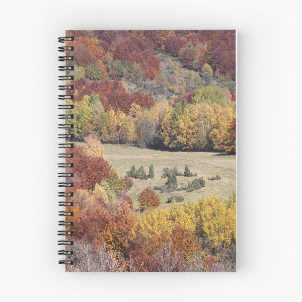 Item preview, Bieszczady Mountains . Poloniae Alpe Besczade. Бещади . October 2018. ©Dr.Andrzej Goszcz Photography. No.2. Canon 5D. designed and sold by © Andrzej Goszcz,M.D. Ph.D.