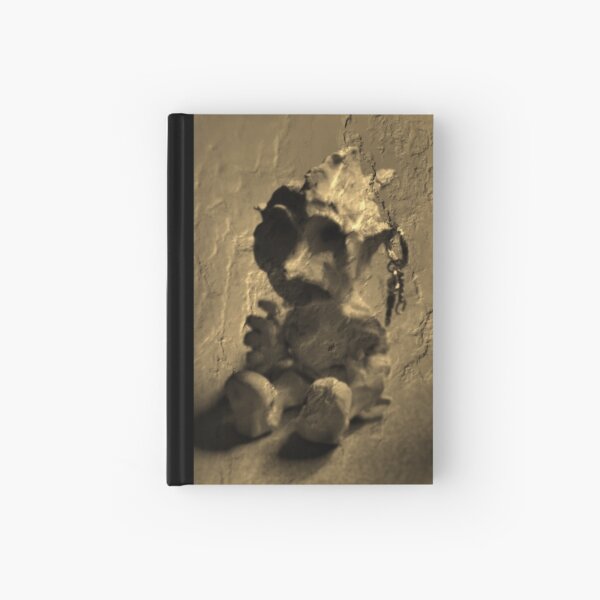 Golem Moderna Hardcover Journal