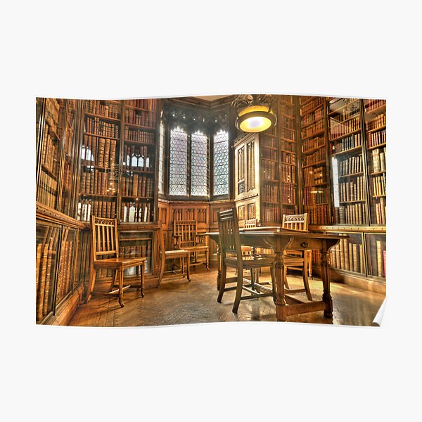 "Quiet Please in the Library" Poster