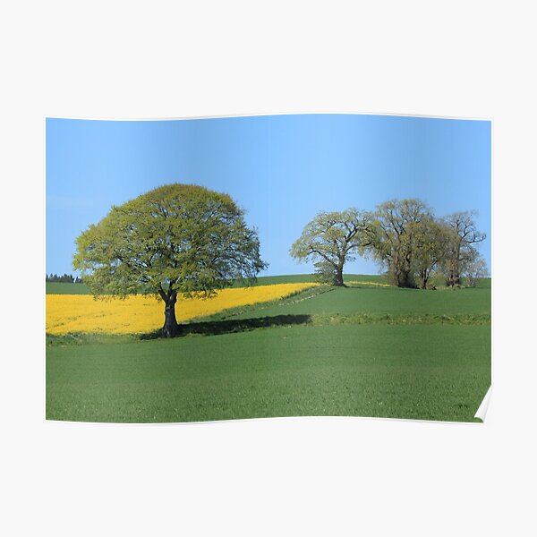 Black Isle, Scotland Poster