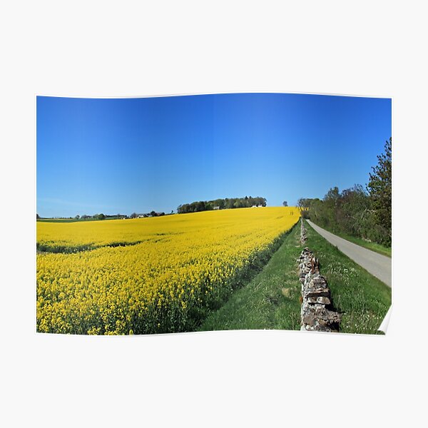 Black Isle, Scotland Poster
