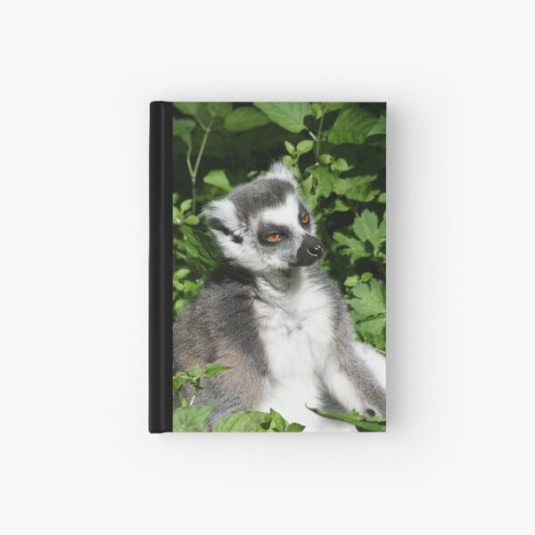 Ring-tailed Lemur 2 Hardcover Journal
